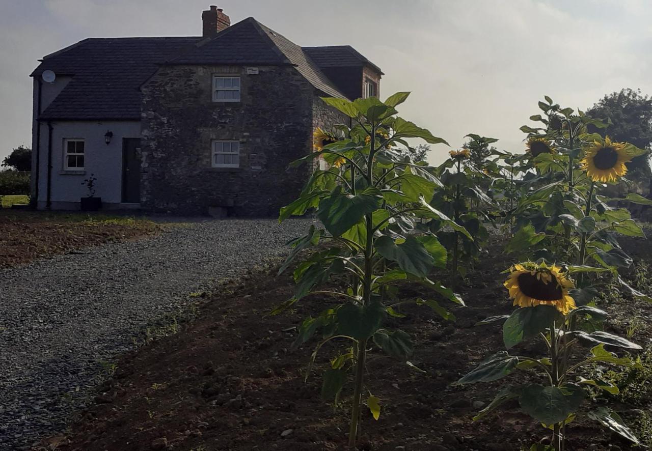 The Shepherd'S Lodge Tullyallen Buitenkant foto